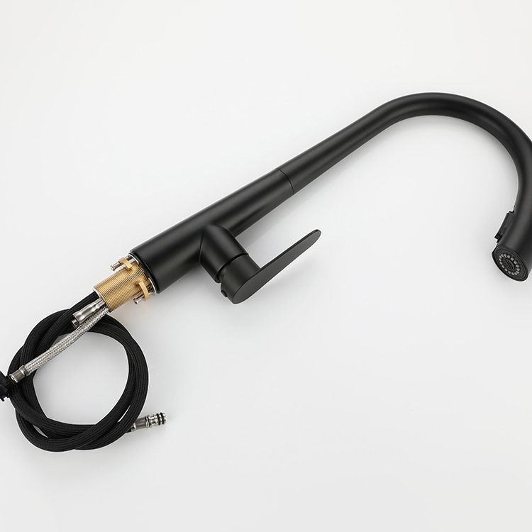 Modern Retractable Kitchen Faucet Stainless Steel Single Handle High Arc Kitchen Faucet