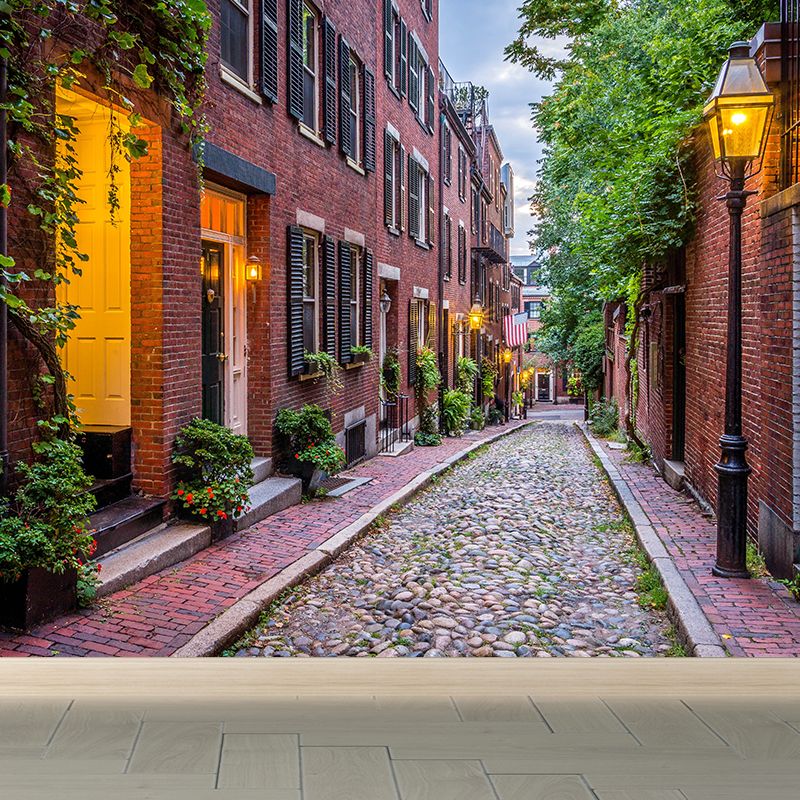 Brick Red Houses Mural Decal Architecture Contemporary Moisture Resistant Wall Decor