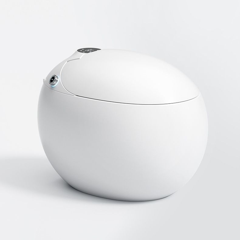 Contemporary 1-Piece Bidet Toilet Floor Mounted Round Toilet Bowl for Washroom