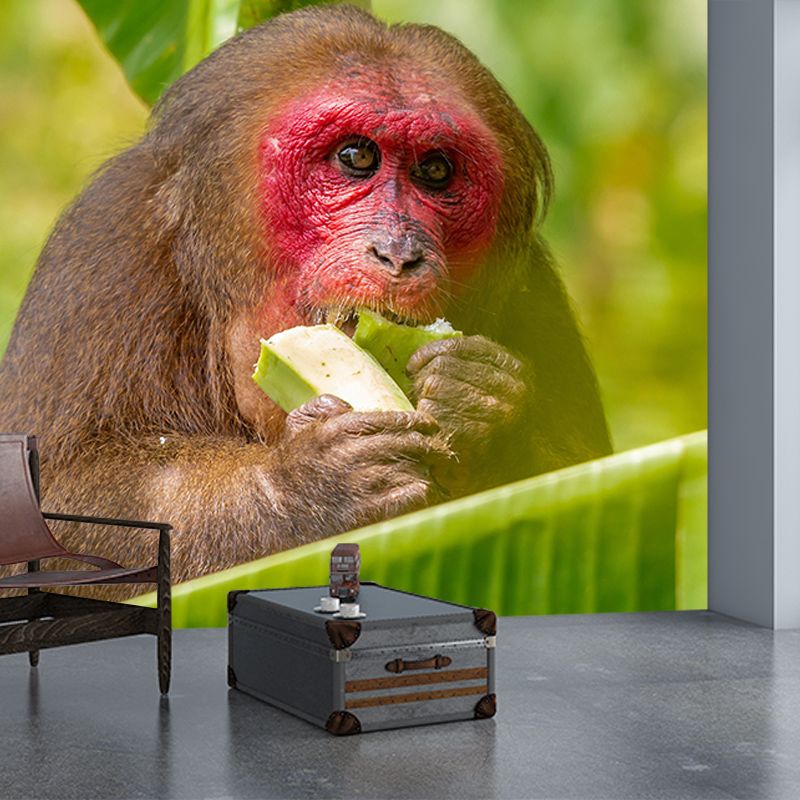 Mural Contemporary Wild Animal Horizontal Photography Living Room Wall Mural