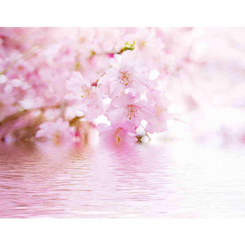 Fragrant Cherry Flowers Mural Decal for Living Room, Pink, Custom Size Available