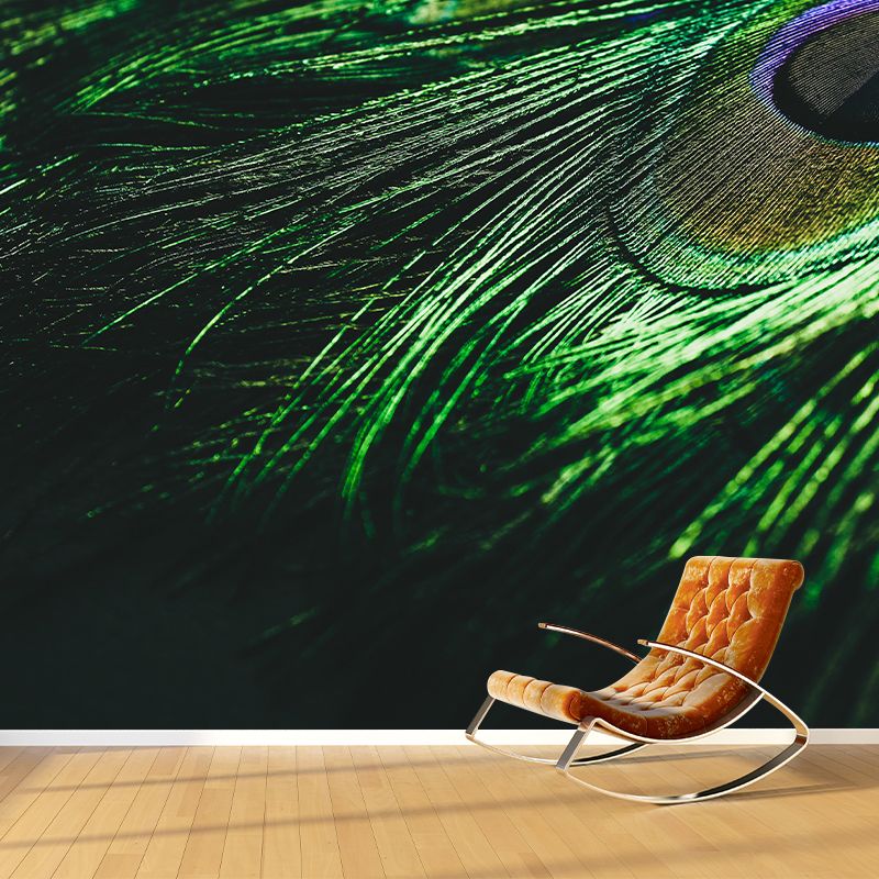 Peacock Feather Modern Wallpaper Decorative Living Room Wallpaper