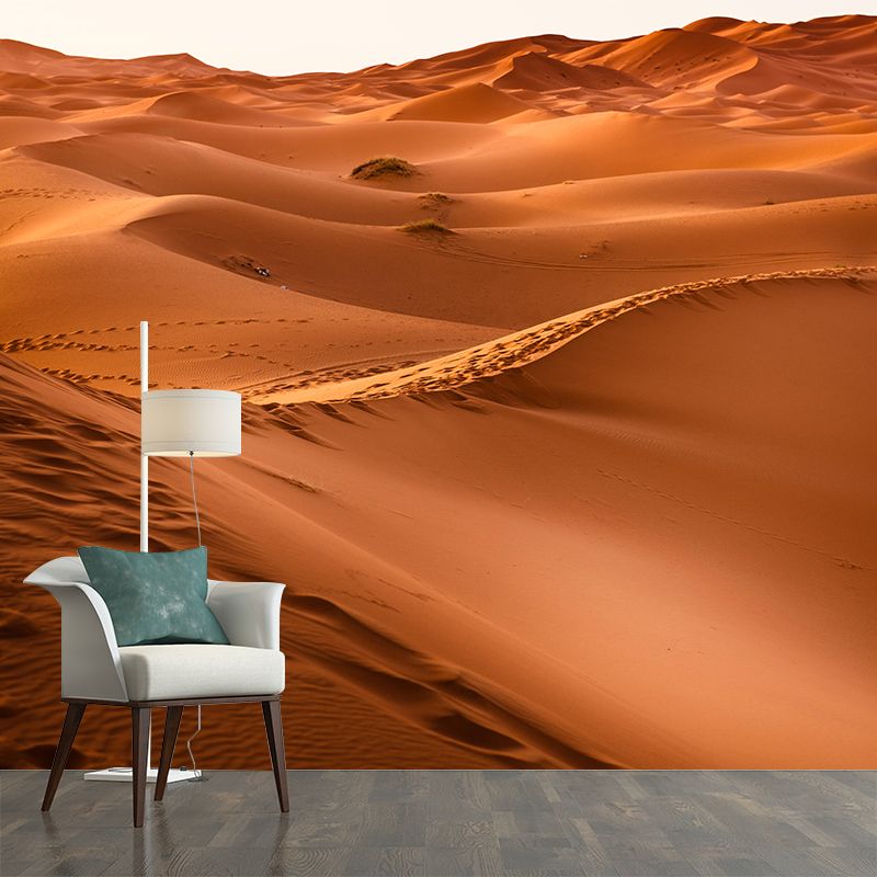 Landscapes Photography Wall Mural Stain Resistant Desert Contemporary House Murals