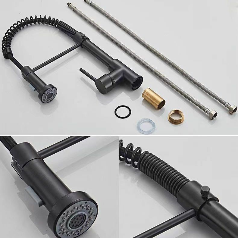 Modern 1-Handle Faucet Spring Spout with Water Dispenser Standard Kitchen Faucet