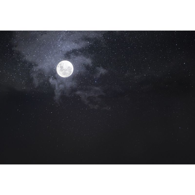 Moon and Starry Sky Mural Wallpaper in White on Black Contemporary Wall Art for Home