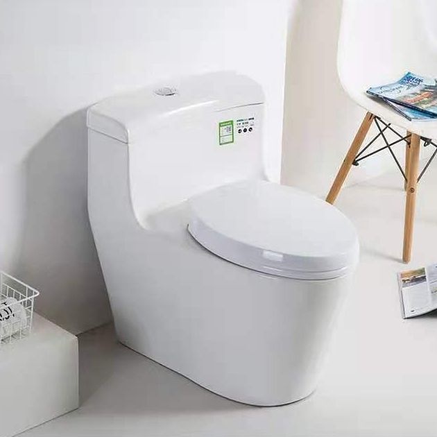 Modern Ceramic Siphon Jet Toilet Bowl Floor Mount Flush Toilet with Toilet Seat