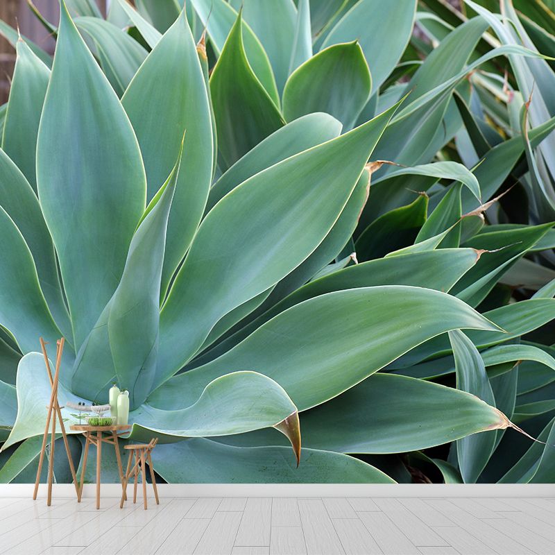 Green Agave Plant Wall Murals for Reading Room Home Decor, Made to Measure