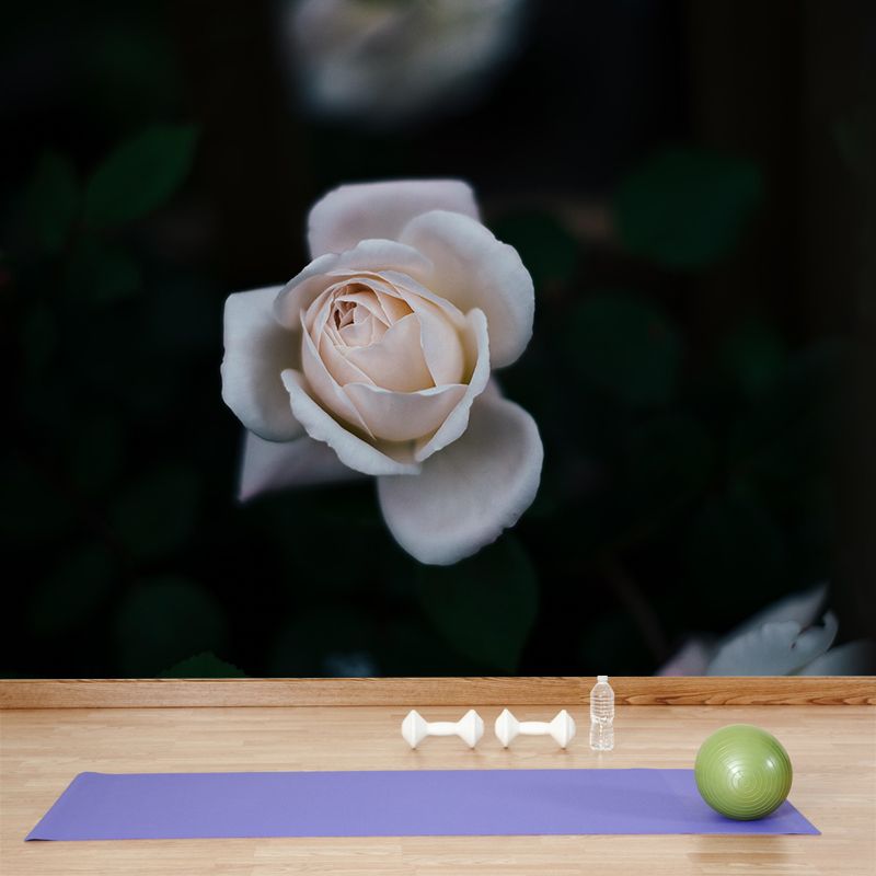 Photography Style Rose Blossom Mural Wallpaper Modern Wall Covering for Living Room