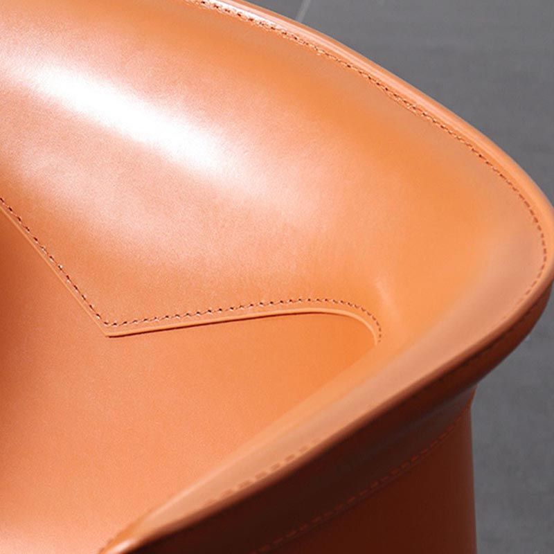 Metal Contemporary Indoor Chair with Leather Legs Matte Finish Side Chair for Dining Room