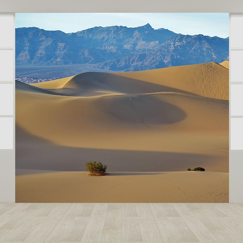 Landscapes Environmental Wall Mural Stain Resistant Desert Photography Wall Mural