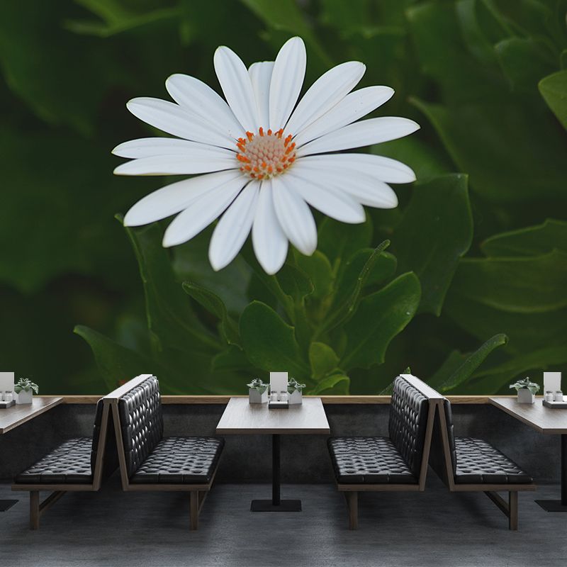 Soft Color Flower Wall Mural Decal Moisture Eco-friendly Wallpaper for Sitting Room