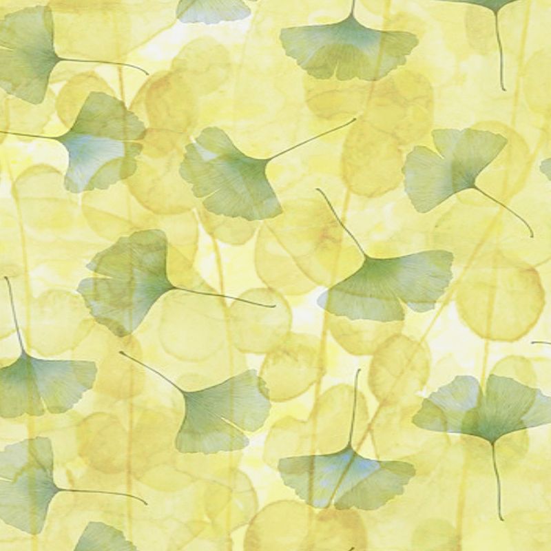 Environmental Illustration Mural Wallpaper Plant Indoor Wall Mural