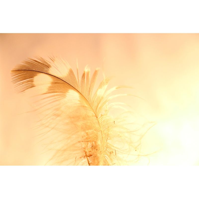 Photography Bird Feather Mural Eco-friendly Decorative Wallpaper Wall Decor