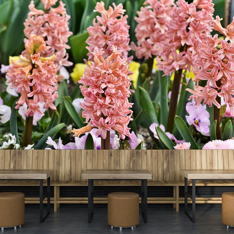 Beautiful Hyacinth Wall Mural Decal Colorful Mural Wallpaper for Girl Bedroom