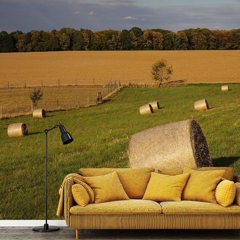 Environment Friendly Straw Bales Mural Soft Color Wall Covering for Decoration