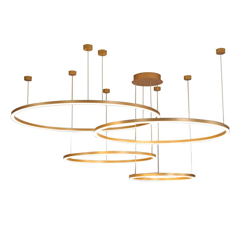 Modern Orbicular Pendant Lighting Fixtures Metal Pendant Chandelier