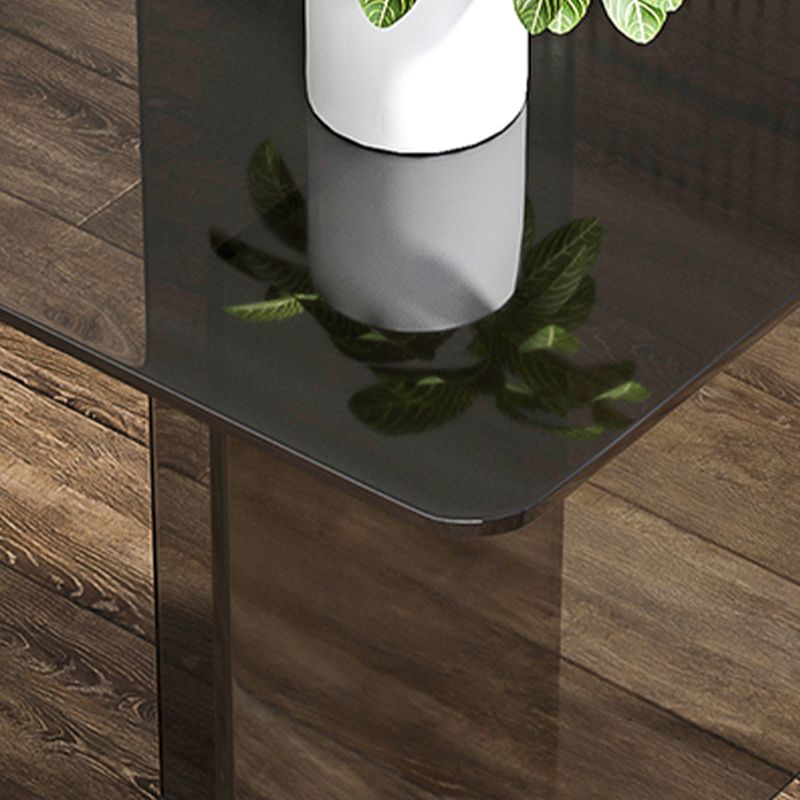 Glass Contemporary Rectangular Dining Table Clear Glass Table with Double Pedestal