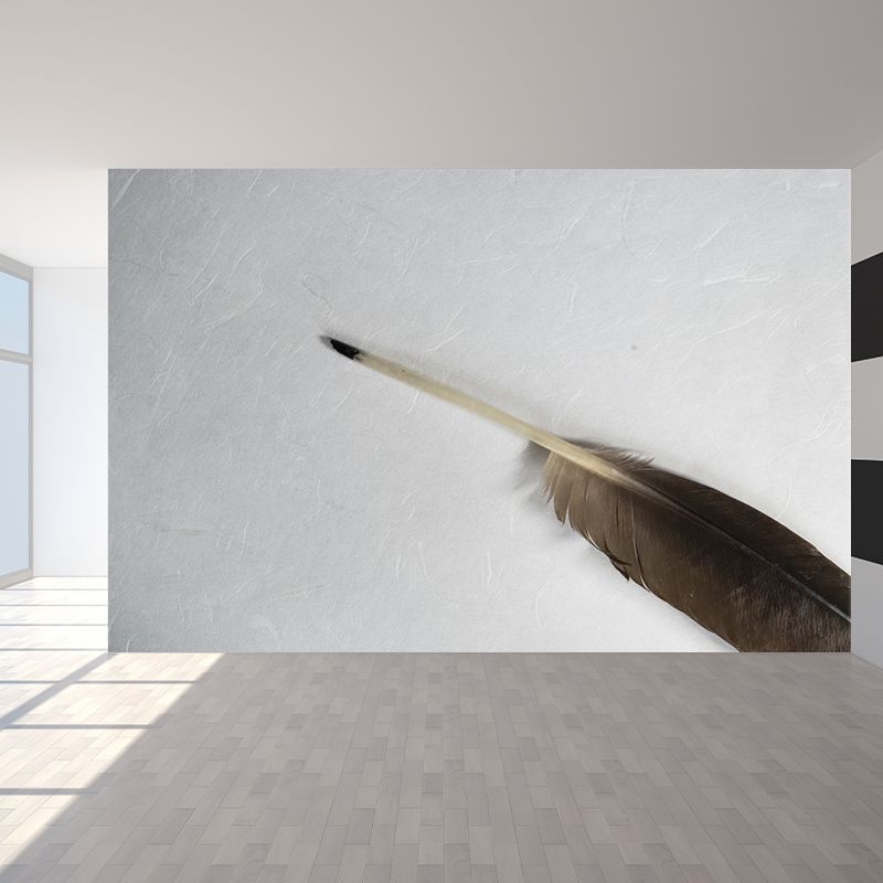 Feather Mural Wallpaper Moisture Resistant Wall Art for Girl's Bedroom
