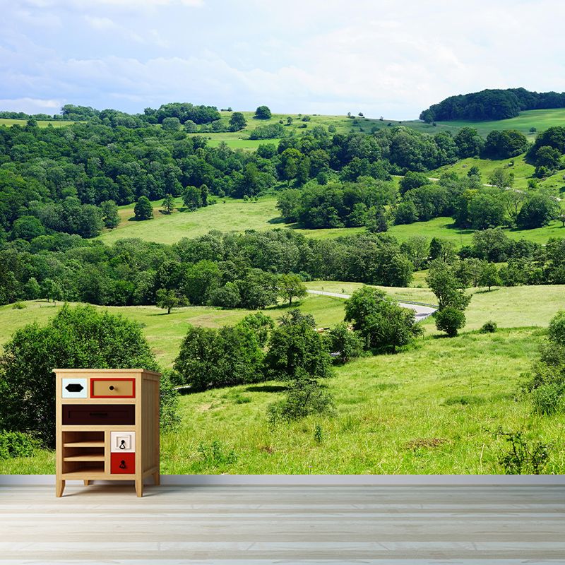 Customized Forest Decorative Murals Sleeping Room Wall Murals Wallpaper