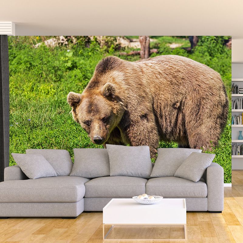 Cute Bear Wall Decals Water Resistant Wall Art for Kid's Bedroom, Made to Measure