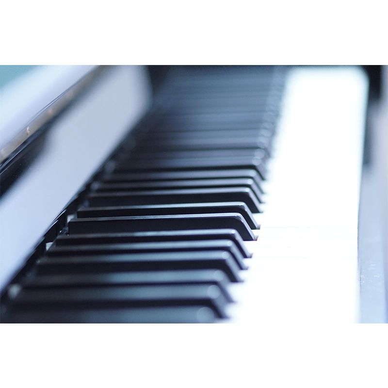 Customized Piano Mural Photography Decorative Environment Friendly Wall Art