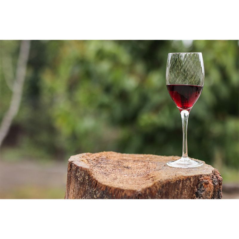 Commercial Use Red Wine Mural Wallpaper Stain Resistant Wall Decor for Bar