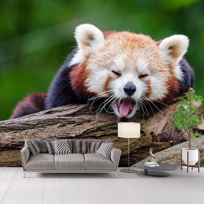 Customized Contemporary Red Panda Mural Mildew Resistant for Sitting Room Bedroom