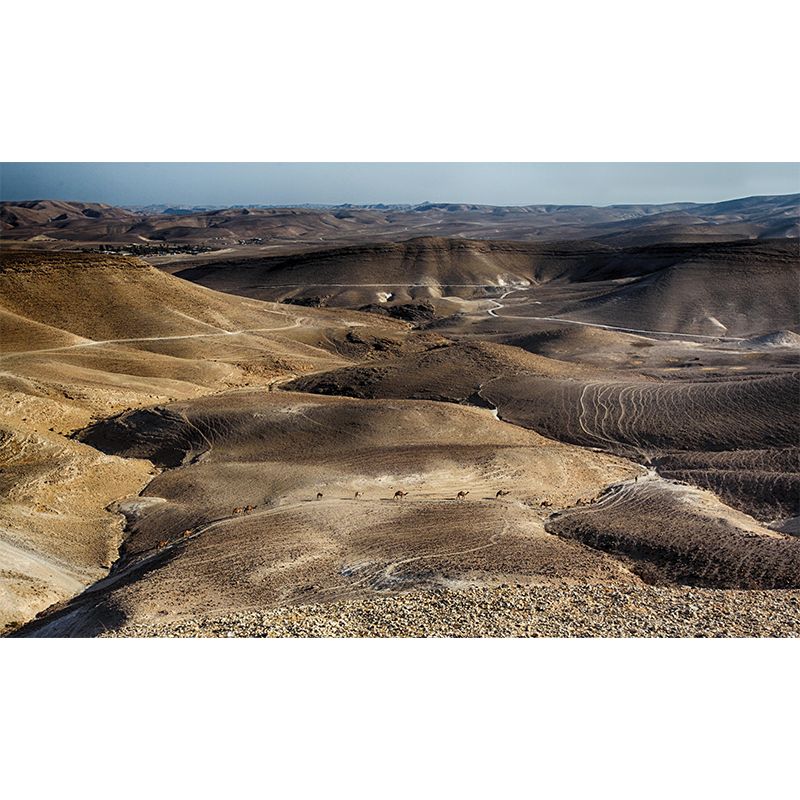 Environmental Wall Mural Stain Resistant Desert Photography Wall Mural