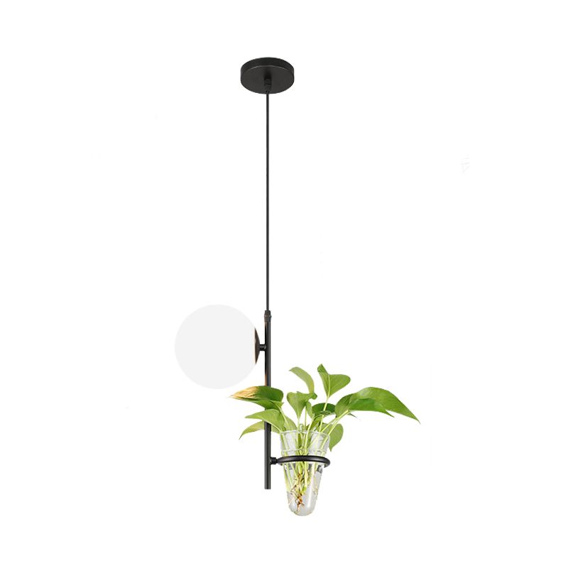 Metal Black/Gold Drop Lamp Orb 1 Head Industrial LED Plant Down Lighting Pendant with Milk White/Smoke Grey Glass Shade