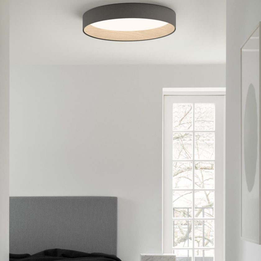 Acrylic Circular LED Flush Mount in Modern Concise Style Aluminium Indoor Ceiling Light