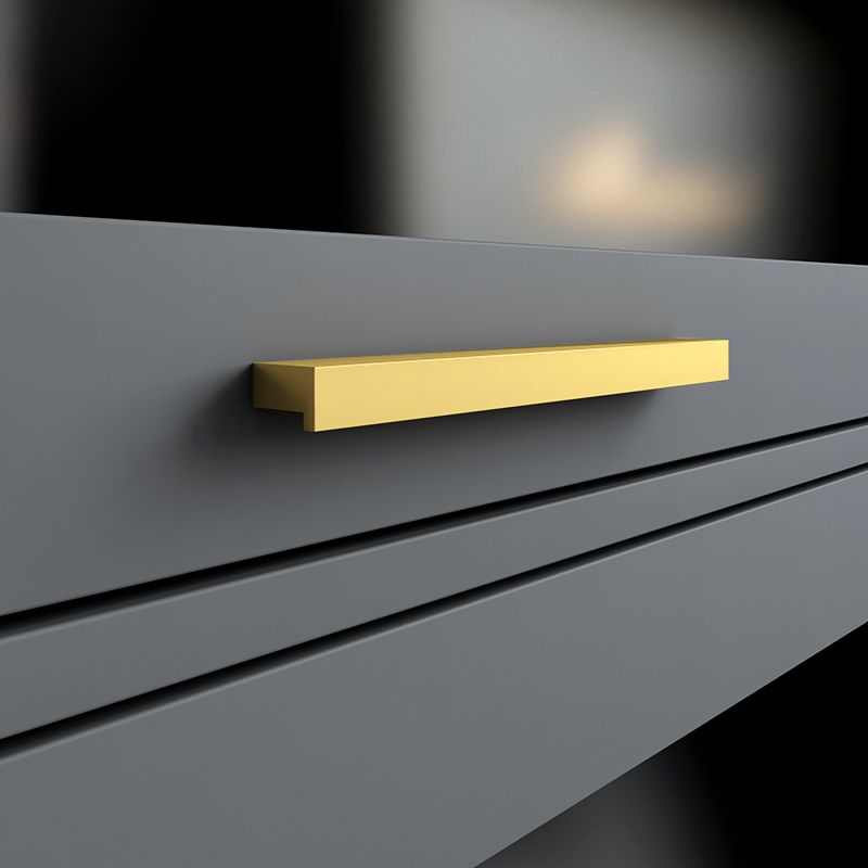 Modern Style Bookcase Closed Back Bookshelf with Door for Home Office