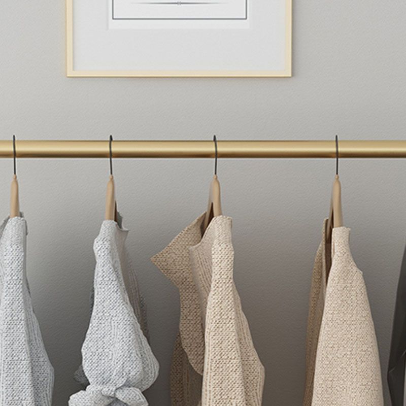 Contemporary Coat Rack Metal Framed Hanging Rail Entry Hall Tree