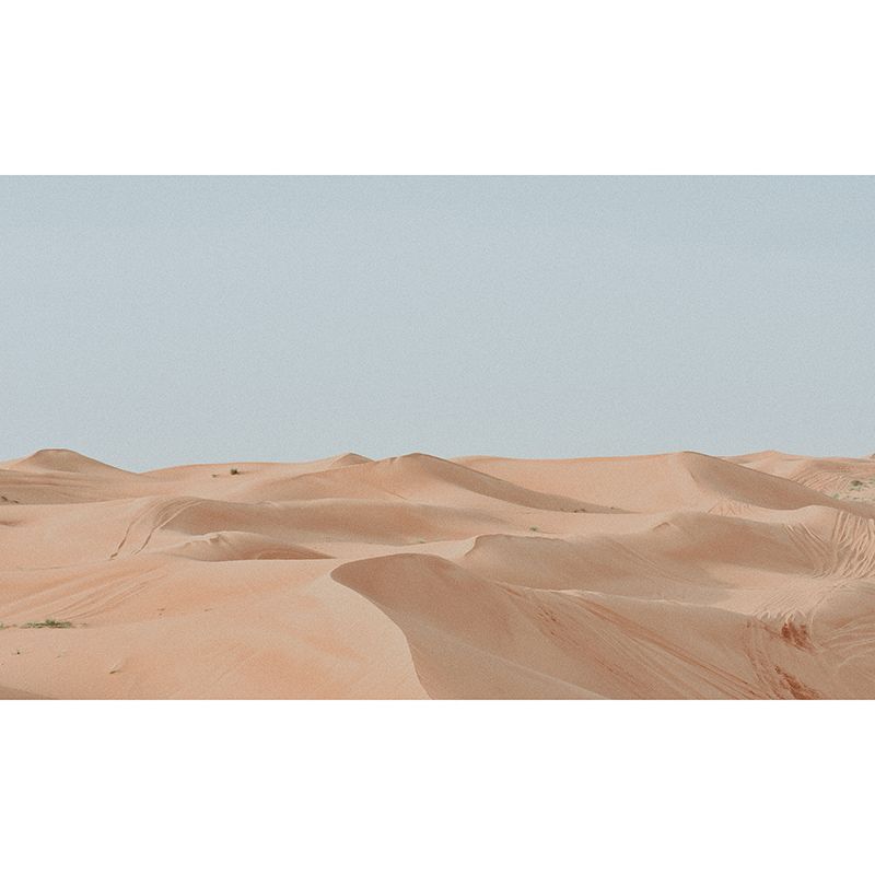 Modern Desert Landscape Wallpaper Mural Waterproofing, Made to Measure
