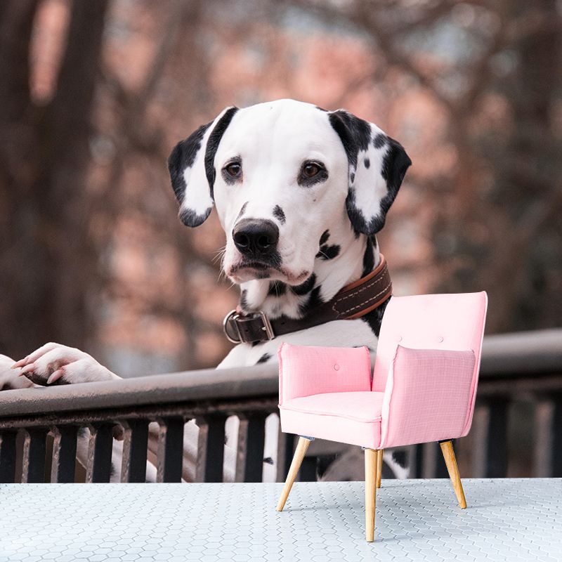 Horizontal Photography Dalmatians Mural Stain Resistant Wall Art for Living Room