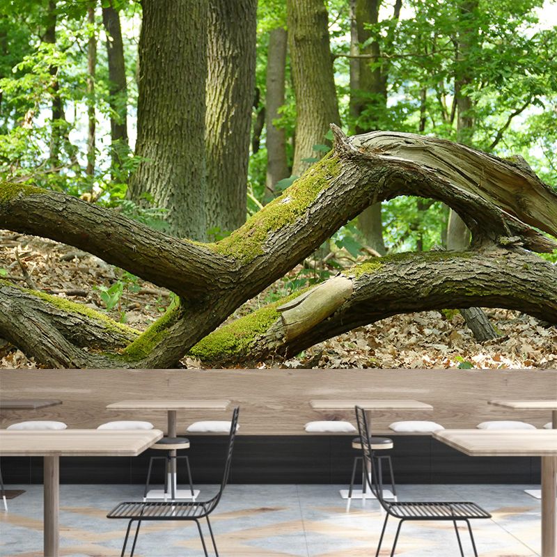 Customized Summer Forest Wall Mural Mildew Resistant Wall Decor for House Interior