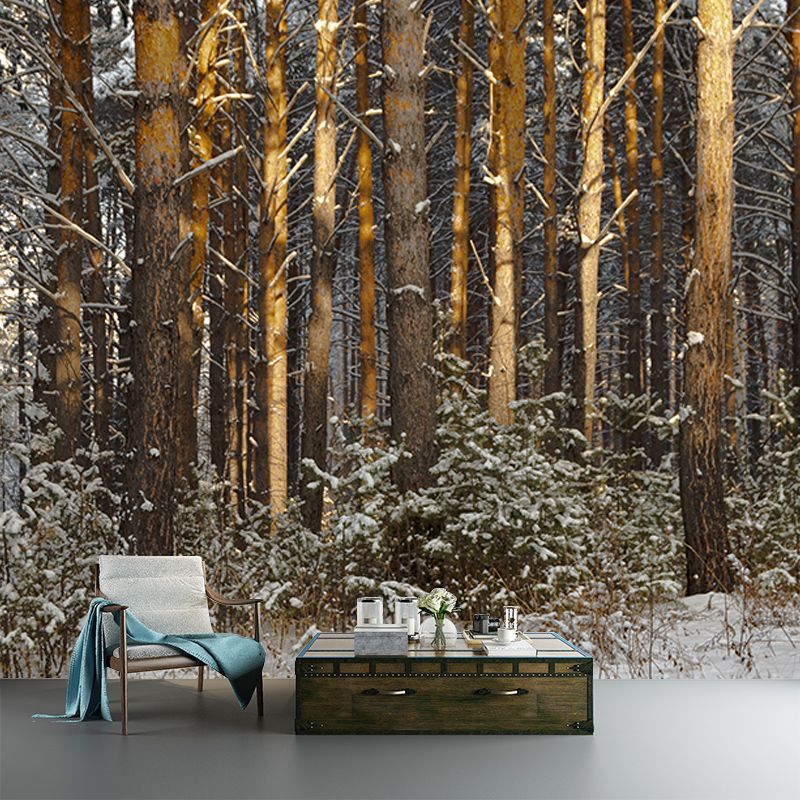 Winter Forest Landscape Mural Wallpaper for Home Decoration, Moisture Resistant