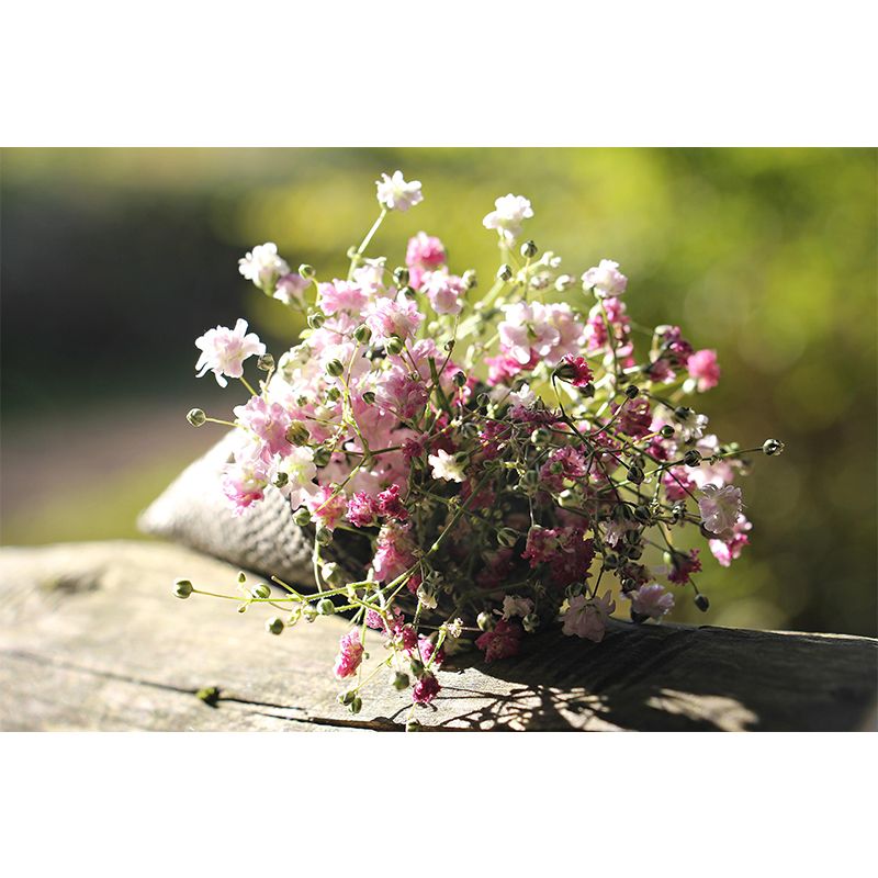 Beautiful Flowers Murals Wallpaper Flower Stain Resistant Wall Decor for Girl Bedroom