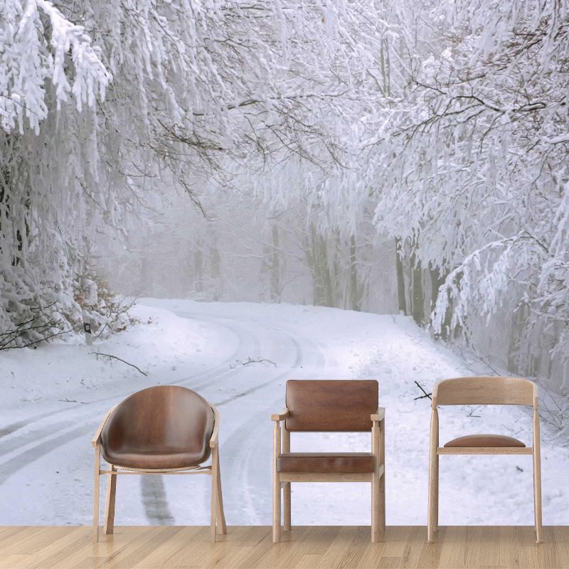 Modern Forest Wall Mural Decor Horizontal Photography Style for Decoration