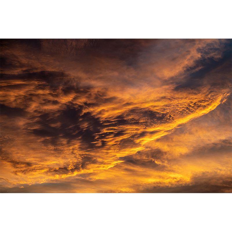 Sunset Scene Sky Wall Mural Wallpaper Photography Mildew Resistant for Home Decor