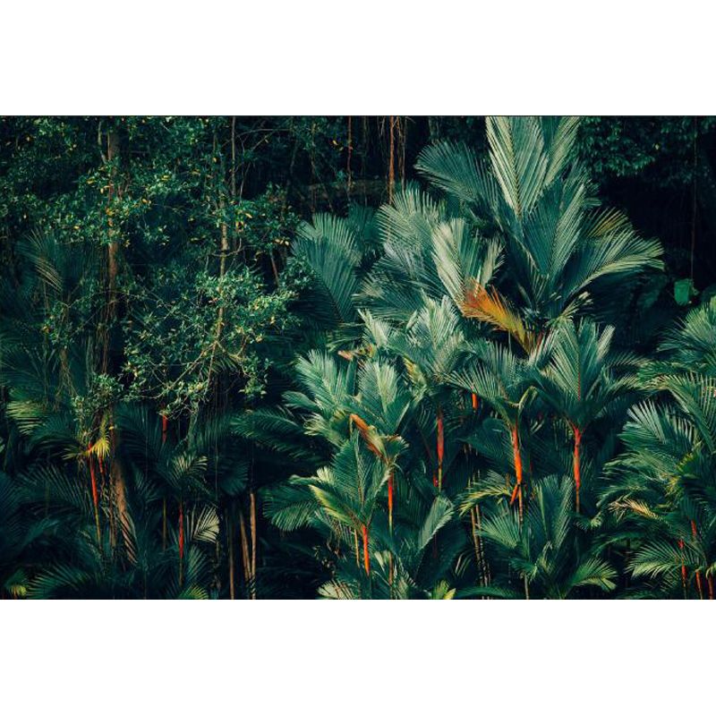 Foliage Mural Decal Tropical Ornamental Girls Bedroom Wall Covering, Personalize