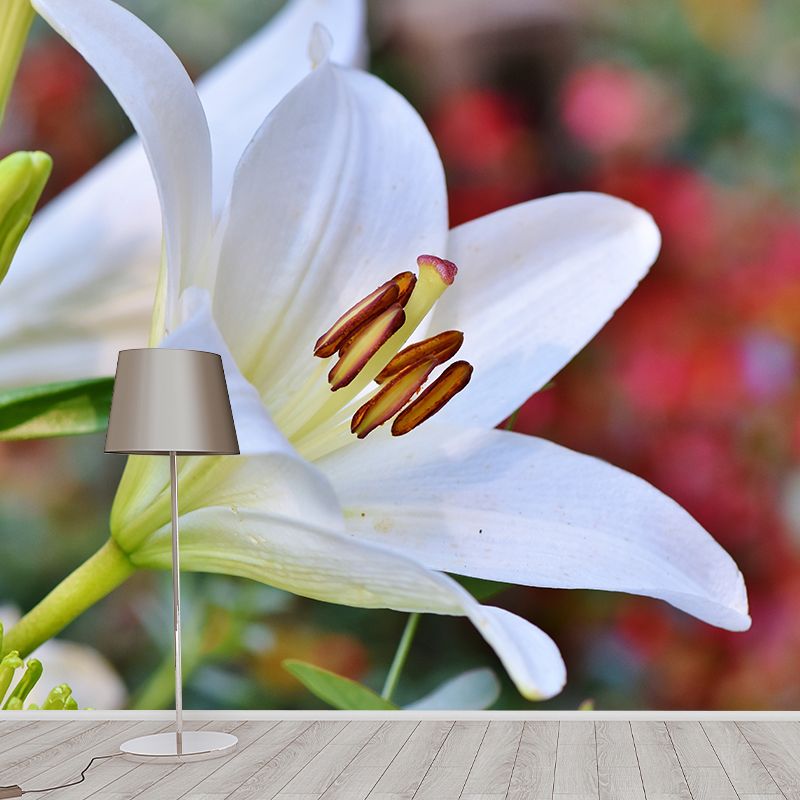 Beautiful Lilies Mural Wallpaper Minimalist Wall Art, Customized Size Available