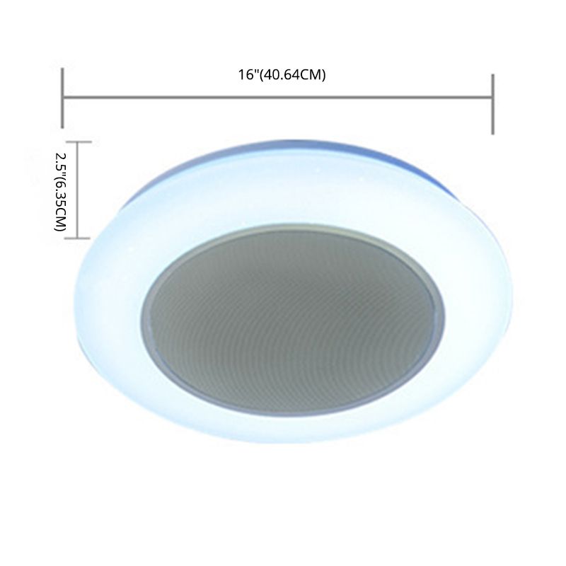 Flush Mount Ceiling Fixture LED Light Smart Mobile Phone Control Indoor Bedroom Light