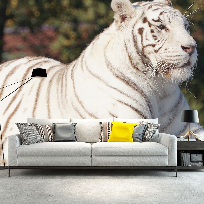 Tiger Animal Mural Wallpaper for Sitting Room Water Resistant, Made to Measure