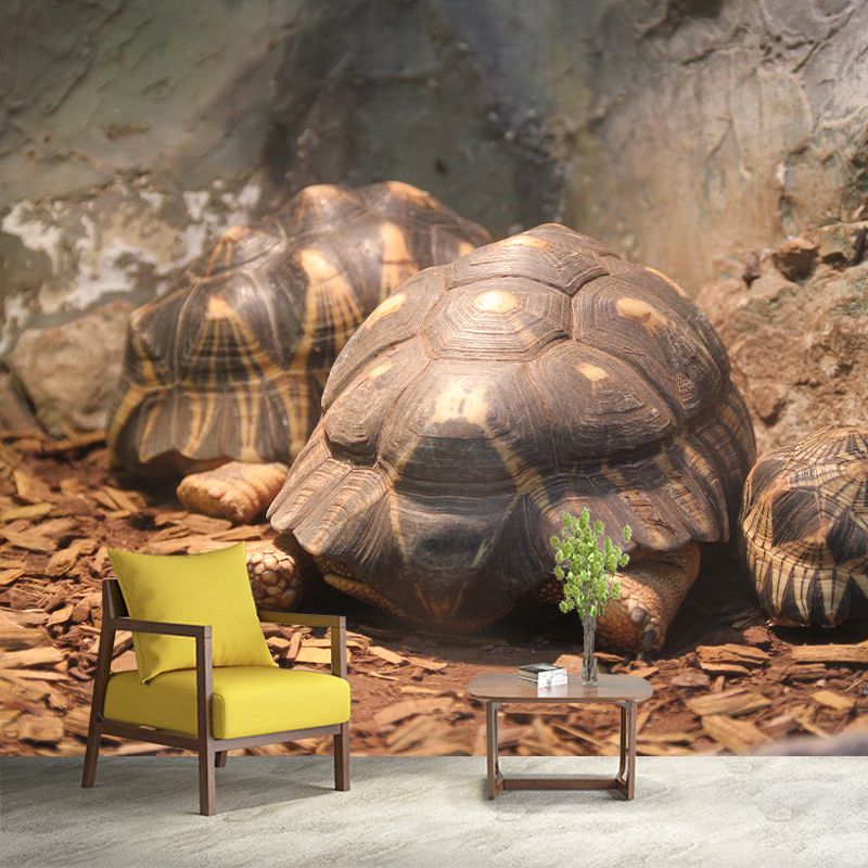 Underwater World Wall Mural Contemporary Photography Wall Covering for Home Decor