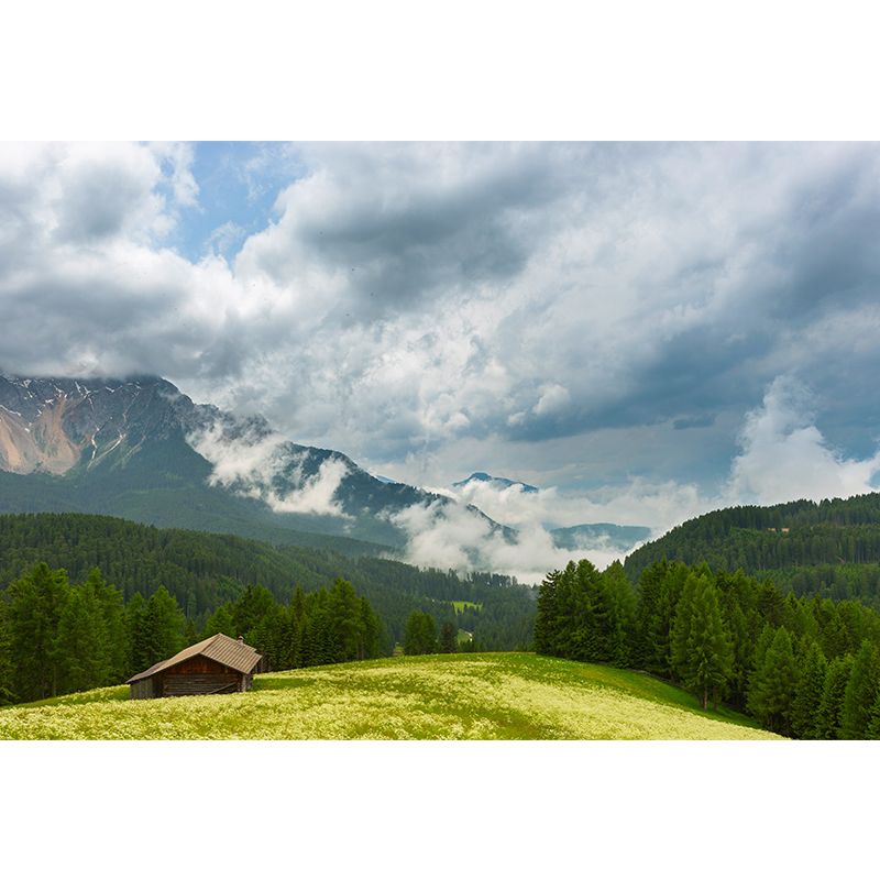 Photo Mountain View Wall Mural Decal Huge Wall Art for Sitting Room, Made to Measure