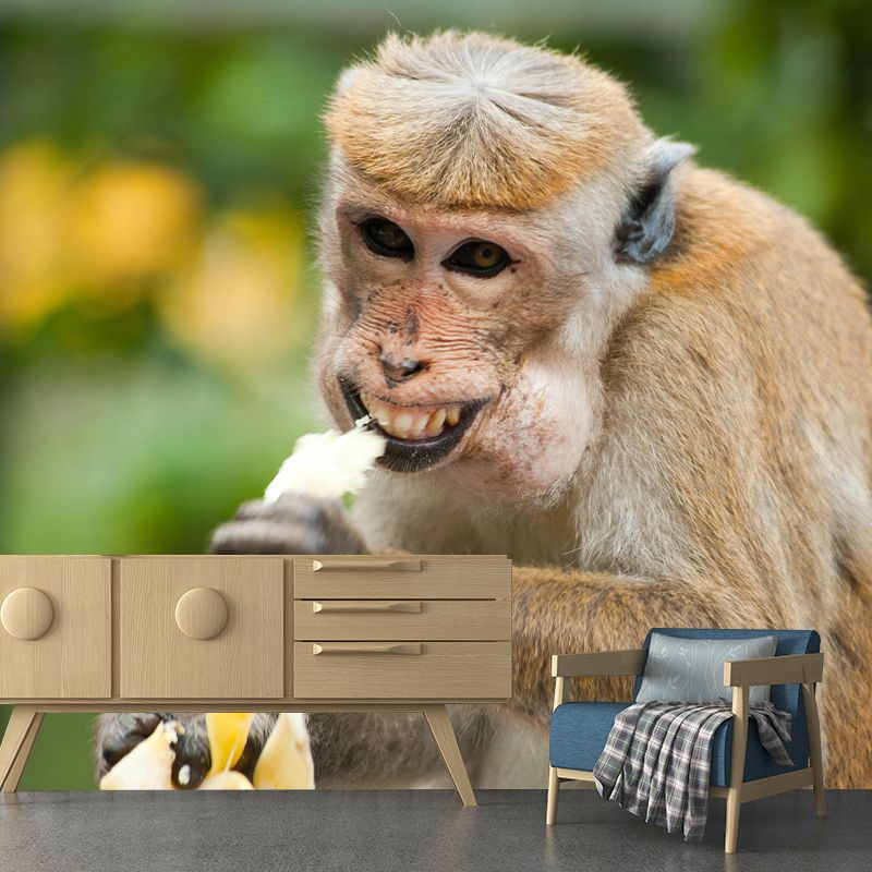 Elephant Wild Animal Contemporary Animal Mural Mildew Resistant Wallpaper for Bedroom