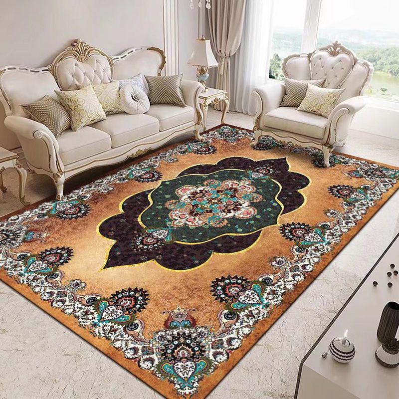 Traditonal Brown Rug Polyester Graphic Pattern Area Rug Stain Resistant Carpet for Home Decor