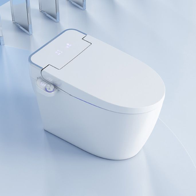 Contemporary 1-Piece Bidet Toilet Floor Mounted White Toilet Bowl for Bathroom