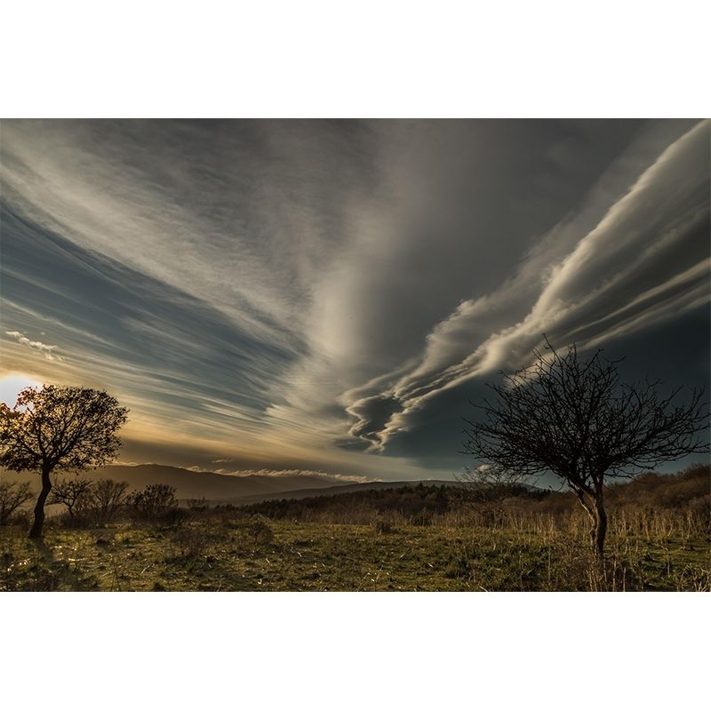 Sky Cloud Customized Sky Wall Mural Mildew Resistant Wallpaper for Wall Decor