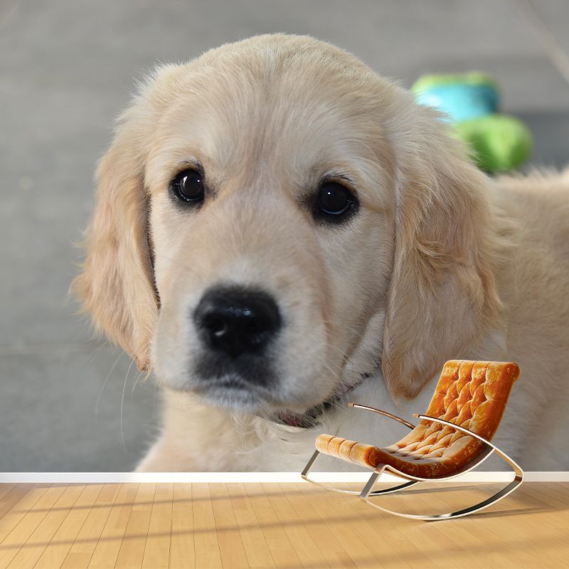 Lovely Dog Wall Mural Removable Wall Covering for Sleeping Room,Water Resistant